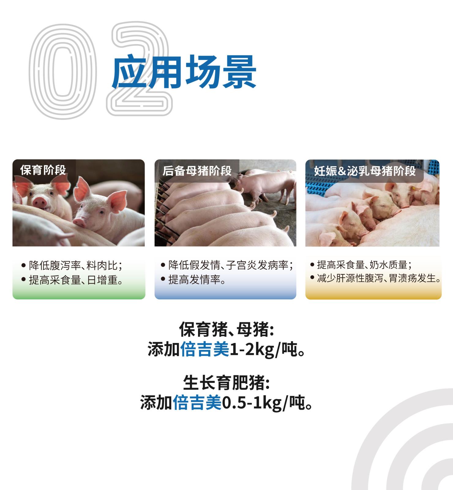 倍吉美網(wǎng)站介紹長圖-[25kg]_畫板-1-副本_03.jpg